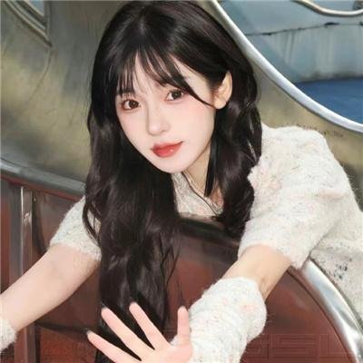 龟女士的奥德赛