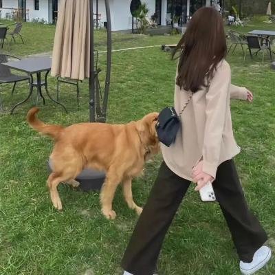 超能一家人